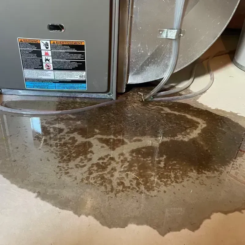 Appliance Leak Cleanup in Union Hall, VA